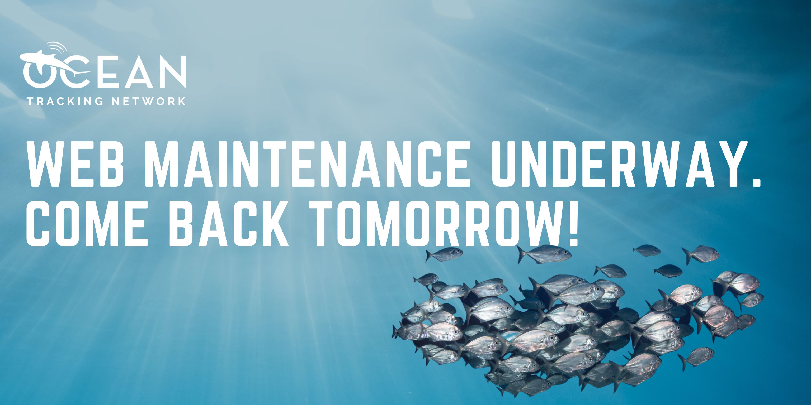 Site down for a day for maintenance - Thank you for your patience.